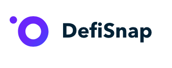 DeFiSnap logo representing DeFi wallet tracking and portfolio visualization before Zapper